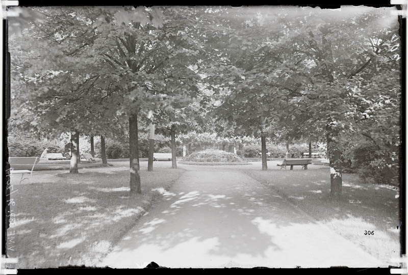 fotonegatiiv, Viljandi, Lastepark