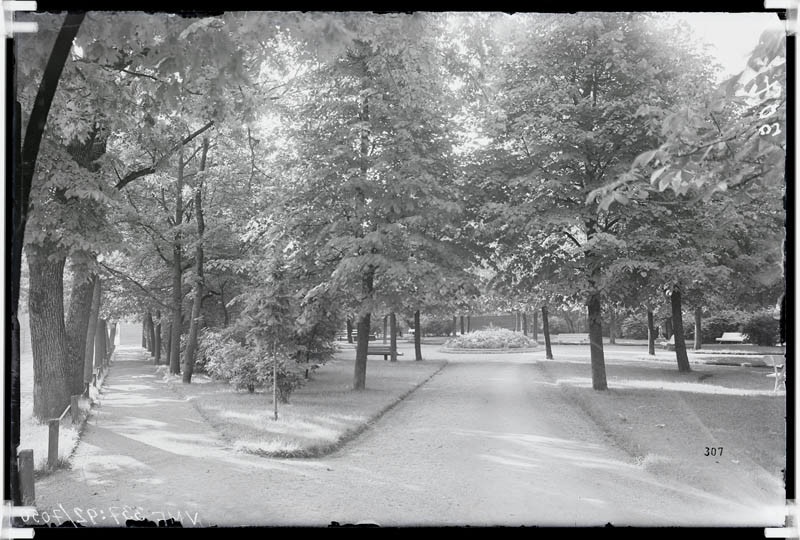 fotonegatiiv, Viljandi, Lastepark