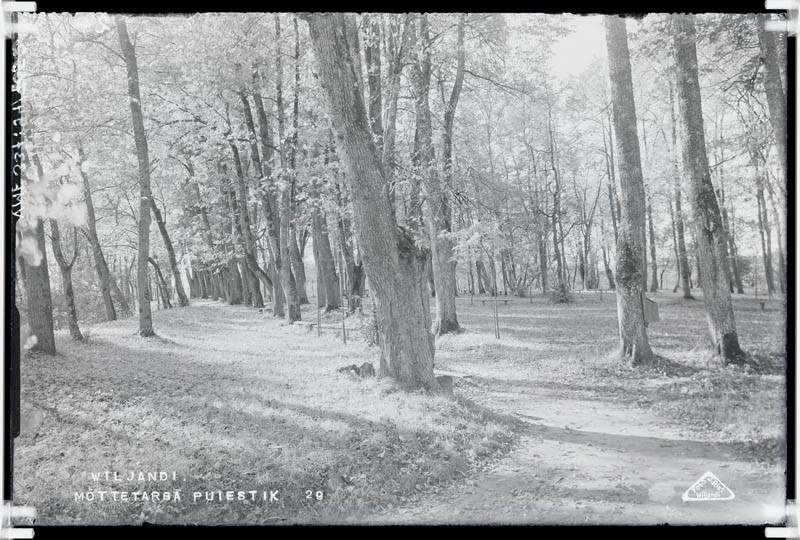 fotonegatiiv, Viljandi, Mõttetarga puiestee