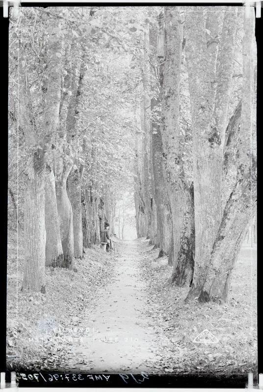 fotonegatiiv, Viljandi, Mõttetarga allee