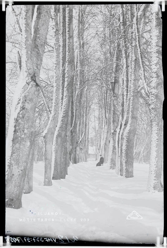 fotonegatiiv, Viljandi, Mõttetarga allee