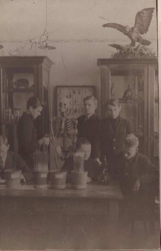 Taru Ülikooli zoloogiakabinet