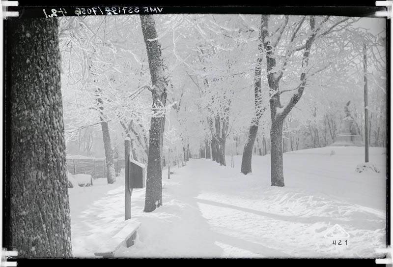 fotonegatiiv, Viljandi, Tasuja puiestee