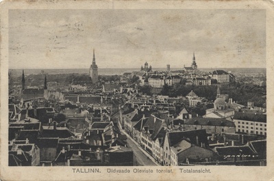 Tallinn : general view of the Oleviste Tower = Total view / : Total view  duplicate photo