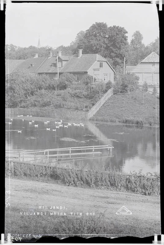 fotonegatiiv, Viljandi mõis, tiik (Valuoja org) u 1915 foto J. Riet
