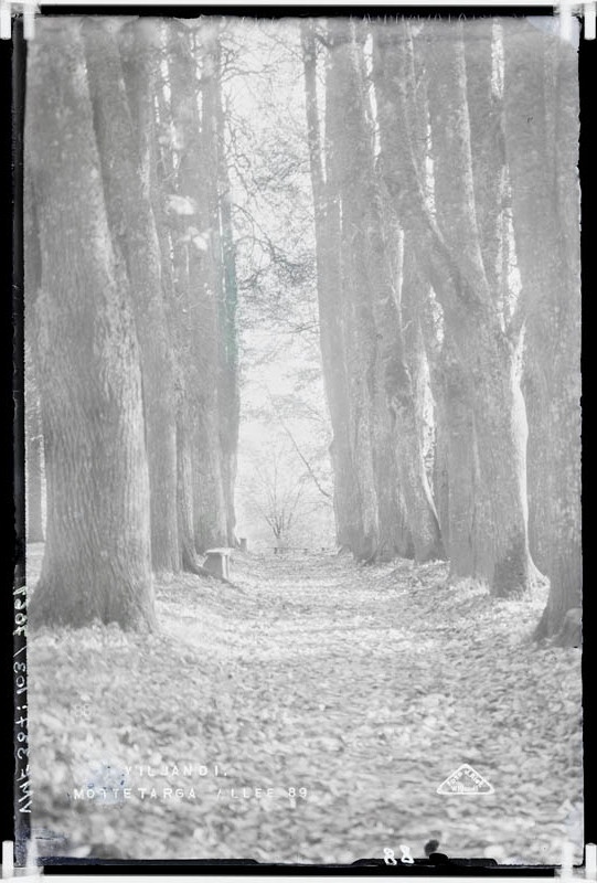 fotonegatiiv, Viljandi, Mõttetarga puiestee