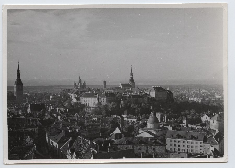 View from the Tower of the Church of Olevis to Toompea.
