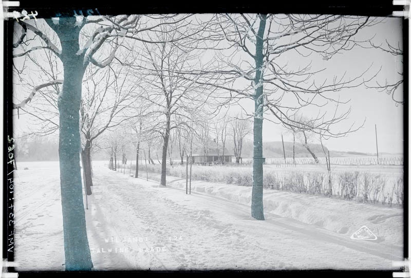 fotonegatiiv, Viljandi, Vesiflirdi puiestee, Tenniseklubi