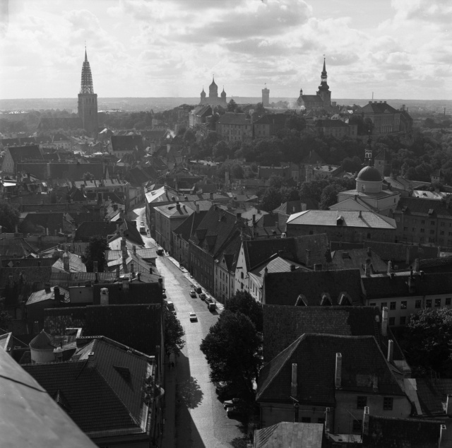 View of Tallinn. Old Town.