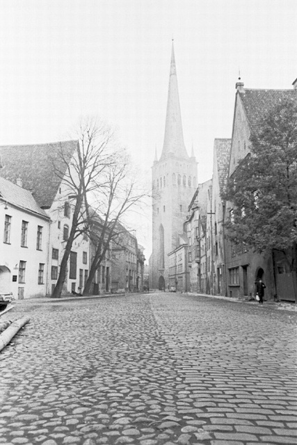 View of Tallinn. Wide street.