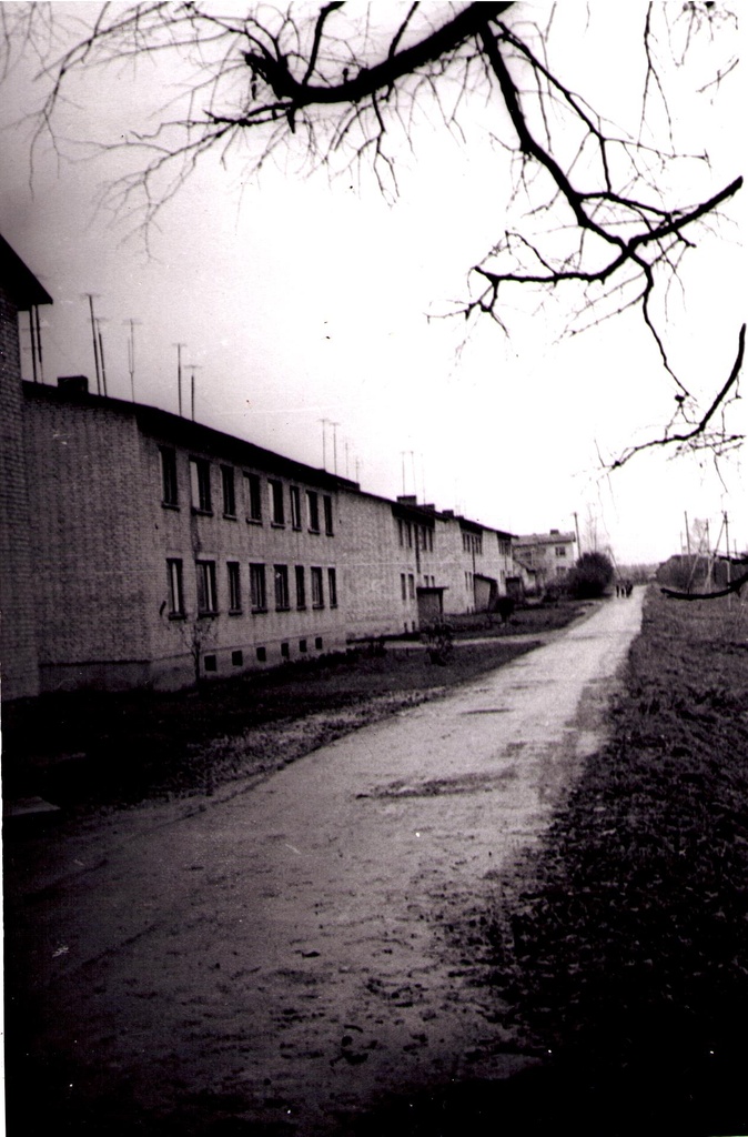 Iisaku Näidissovhoosi elamud Tartu mnt ääres