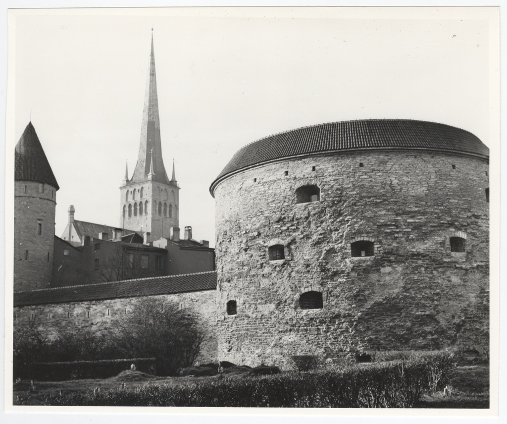 View of the artillery tower Paks Margareeta, part of the city wall and the church of Oleviste