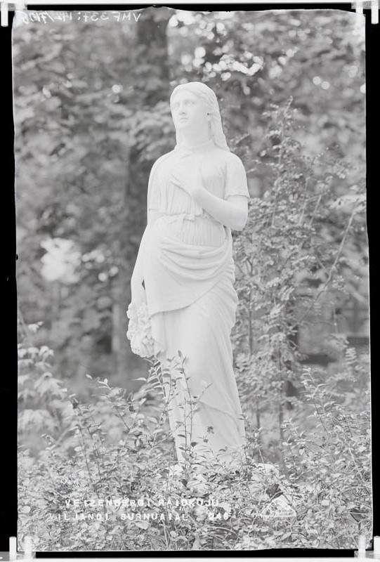 fotonegatiiv, Viljandi, A. Weizenbergi raidkuju Naine lillepärjaga