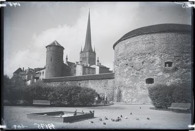 Tallinn, Margareeta aed (Suure Rannavärava bastoinil). Vasakul Stoltingi torn, paremal Paks Margareeta.  duplicate photo