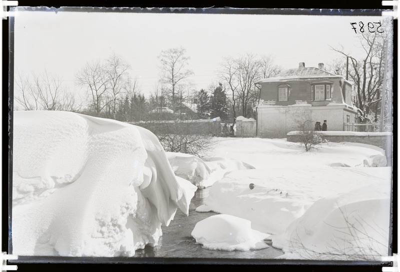 Tallinn, Kadriorg