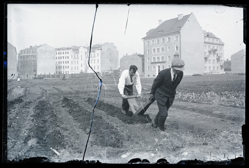 Tallinn. Sahaga kündmine endisel Politsei köögiviljamaal.