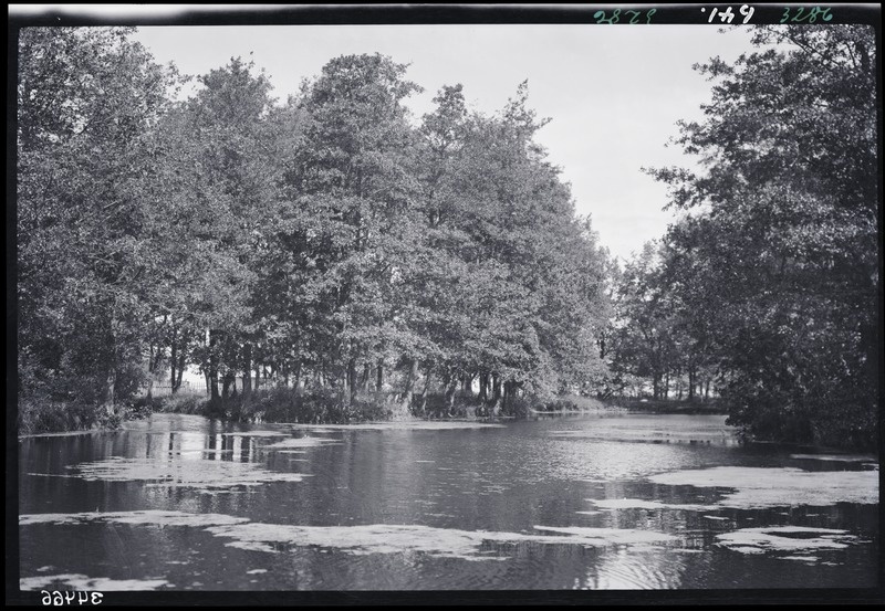 Läänemaa, Uuemõisa park  - tiik.