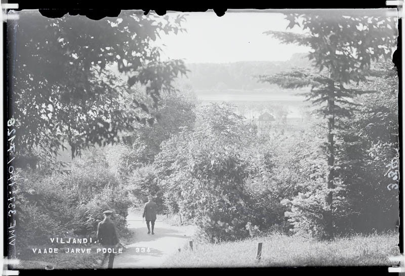 fotonegatiiv, Viljandi, Trepimäe ümbrus, järve poolt