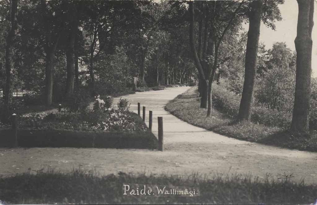 Paide Wallimägi