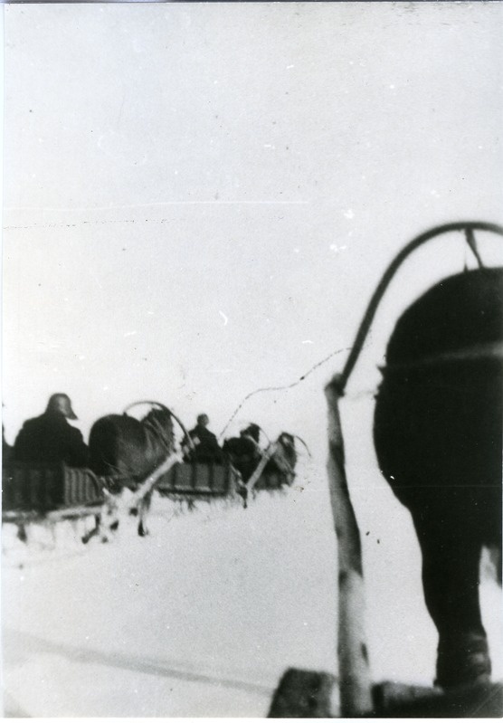Hobuvoor talvisel teel
