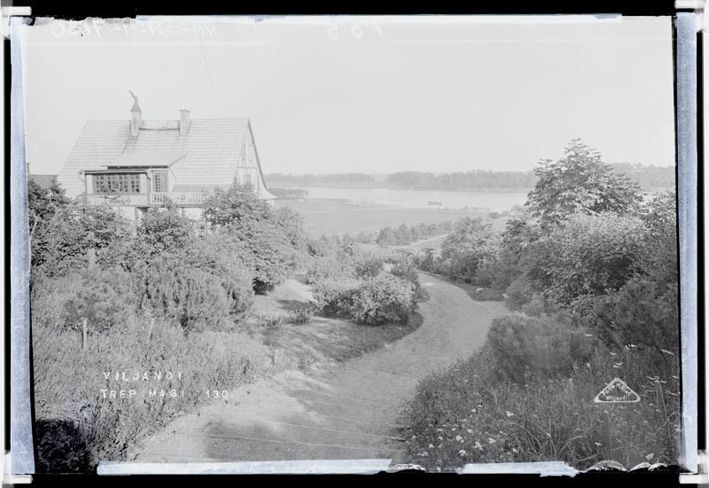 fotonegatiiv, Viljandi, Trepimägi, Viljandi järv