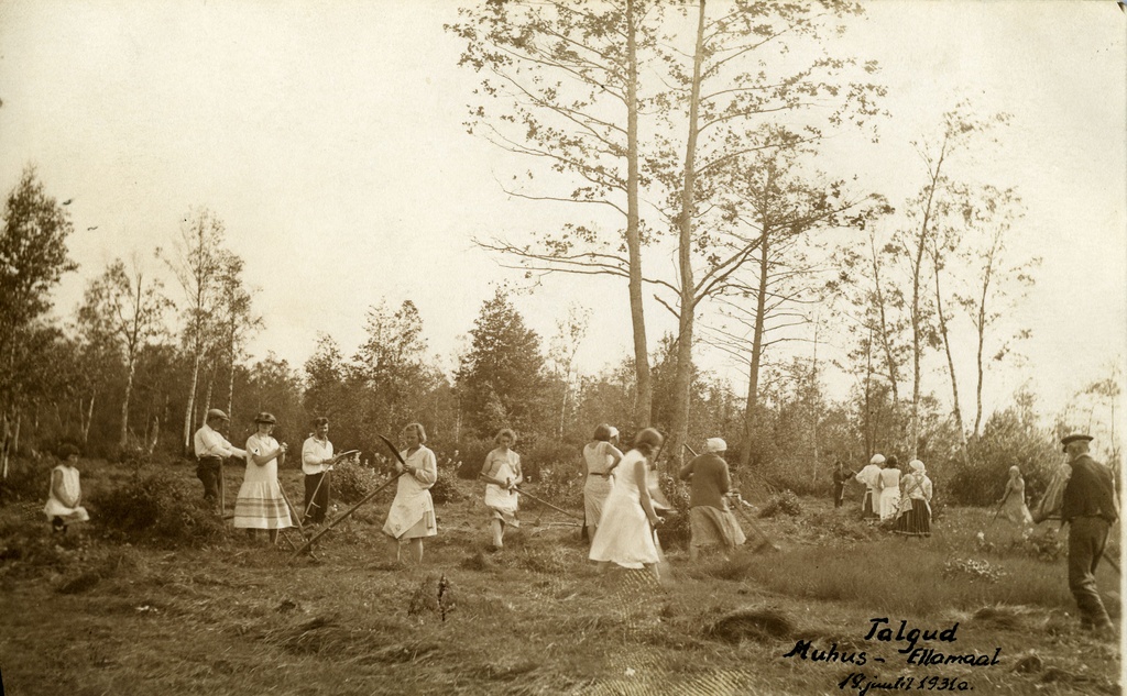 Heinaniitmistalgud Hellamaal