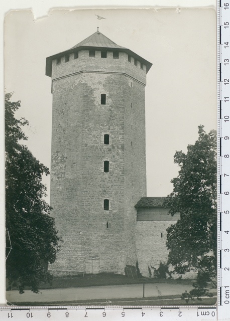 Paide Valli Tower in Järvamaa