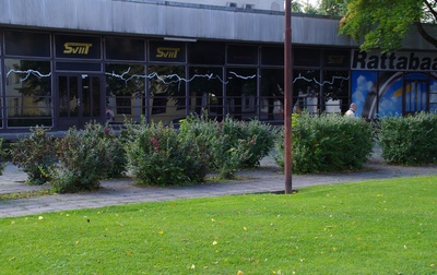 Rakvere, rahvatantsijad Ilo kino ees rephoto