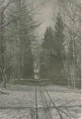 Foto. Vaade Ants Laikmaa majamuuseumi pargi peateele haua ja mälestussamba suunas. 1960.a. kevadel  similar photo