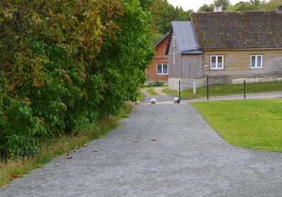 Rakvere. Karneval rephoto