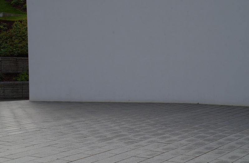 Rakvere Pioneerimaja noorte laulu- ja tantsuansambel rephoto