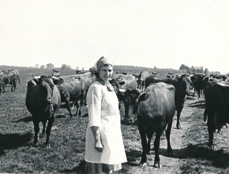 Foto. Sm. L.I. Brežnevi tervitus Leida Peipsile andis nimeka lüpsja suurepärasele algatusele lähetuse ellu