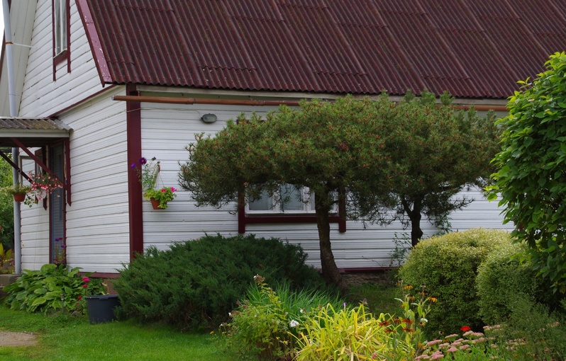 Rakvere Malmi 13 rephoto