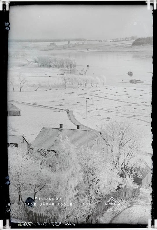 fotonegatiiv, Viljandi, Vaade Viljandi järve poole