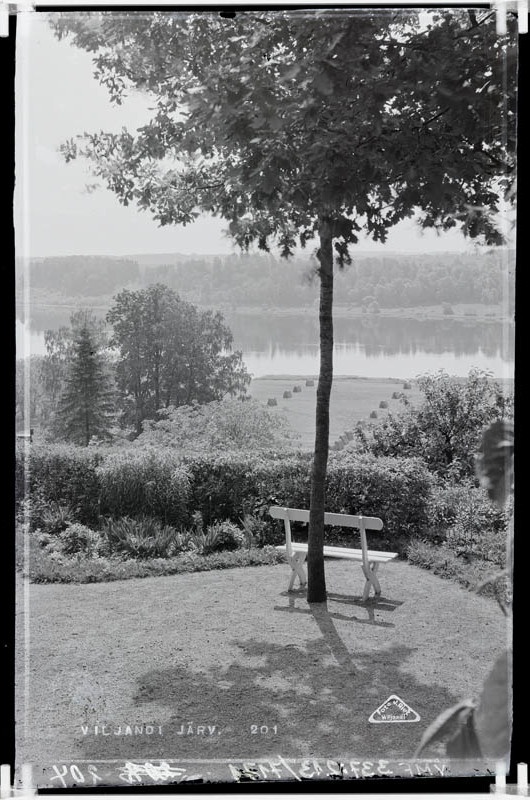 fotonegatiiv, Vaade Trepimäelt Viljandi Järvele