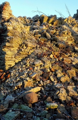 Ravila cattle mandle corners. rephoto