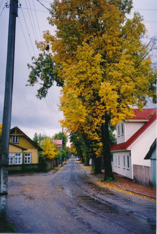 Värvifoto. Kalevi tänav. Haapsalu. 1998.