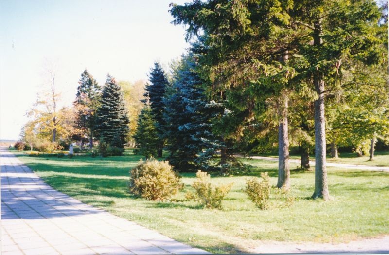 Värvifoto. Promenaadi park. Haapsalu. 1998.