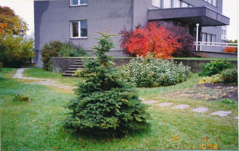 Värvifoto. Park ja linnavalitsuse hoone Haapsalus. 1998.