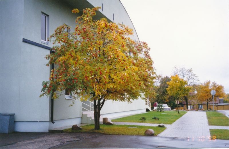 Värvifoto. Hansapank Nurme tänava nurgal. Haapsalu. 1998.