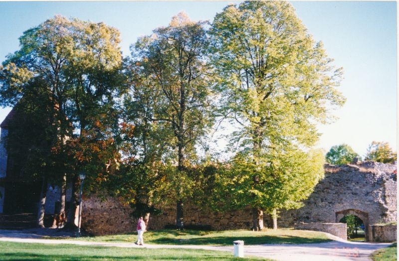 Värvifoto. Haapsalu piiskopilinnuse õu. 1998.