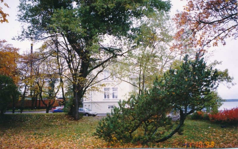 Värvifoto. Promenaadi hotell puude varjus. Haapsalu. 1998.