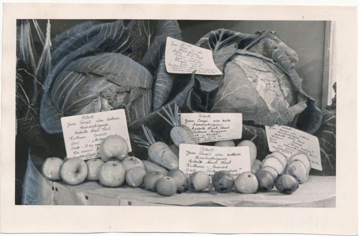 Foto. Haapsalu raj. põllumajandusnäituselt. Pildil J. Tombi kolhoosi aedviljad. 1956. Fotogr. V. Prümmel.