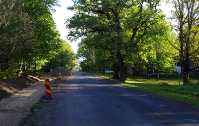 Rakvere tammik rephoto