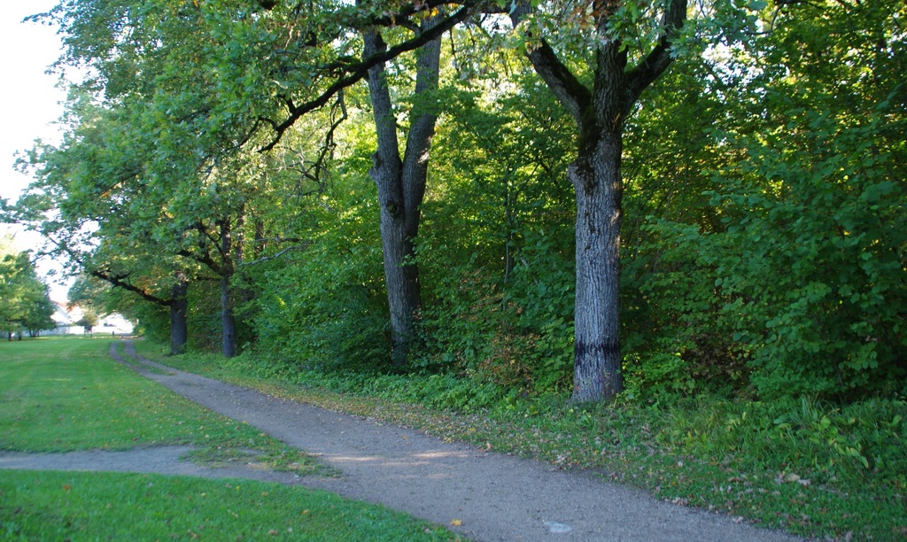 Rakvere Tammik talvel rephoto