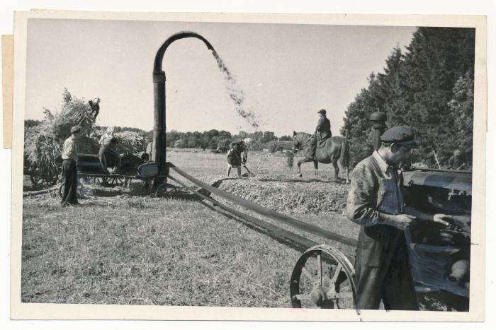 Foto. Lihula masina-traktorijaama traktorist Harald Konstabel ja esimese põllundusbrigaadi töötajad silo valmistamas. Fotogr. V. Samussenko.