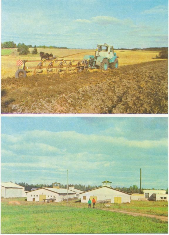 Fotopostkaart.  A.H.Tammsaare nimelise kolhoosi põllud. Kolhoosi seafarm. Foto S.Migdal.