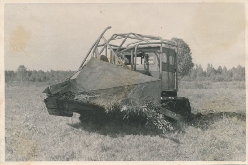 Foto. Võsalõikaja. 1949.