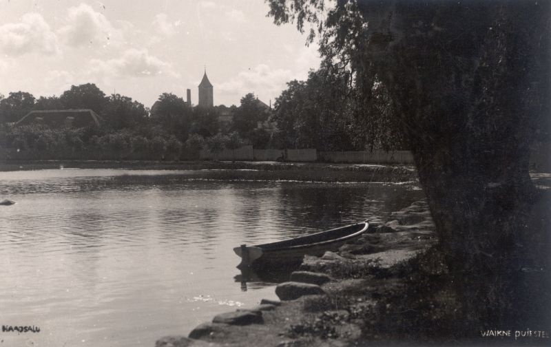 Postkaart. Vaikne puiestee. Väljaandja P. Tamverk.