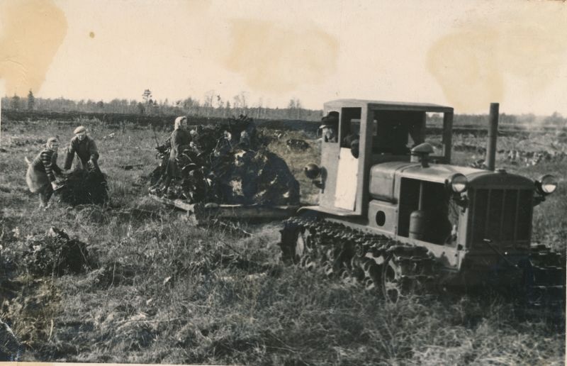 Foto. Uudismaa ülesharimine Lihula v. Oidermaa sovhoosis. Traktorist A. Kukk väljajuuritud kände ära vedamas. Foto: V. Samusenko, 1949.